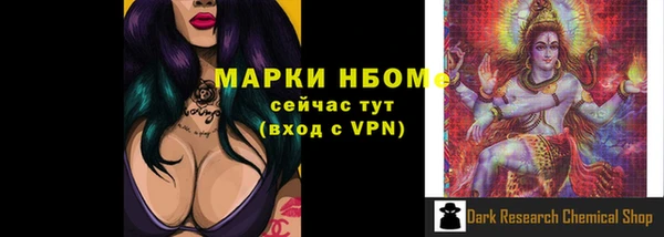 spice Богородицк