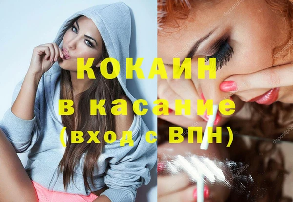 spice Богородицк