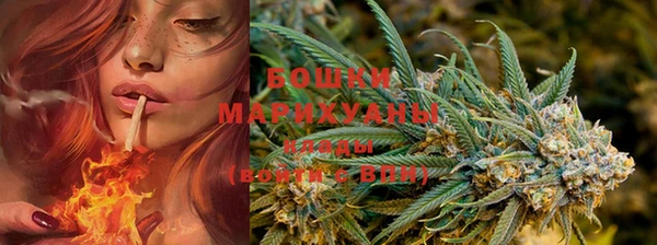 spice Богородицк