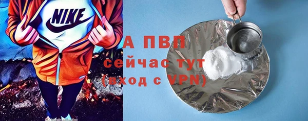не бодяженный Бородино