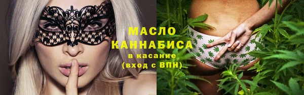 spice Богородицк