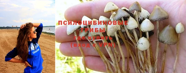 mdpv Бугульма