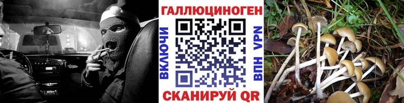 Псилоцибиновые грибы MAGIC MUSHROOMS  Нариманов 